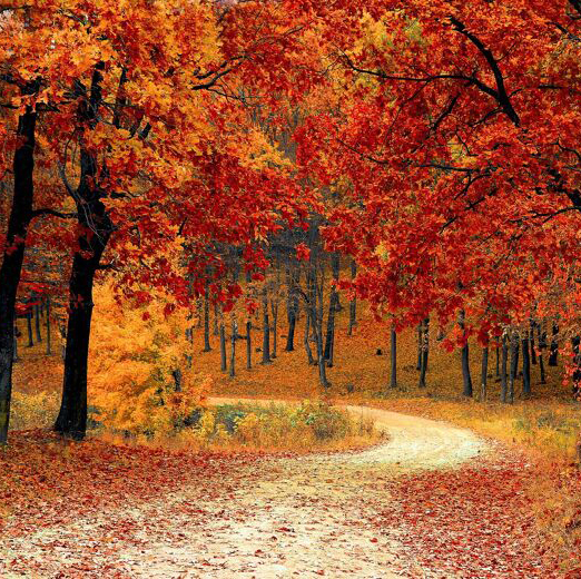 Jaarwiel van Bezieling Samantha